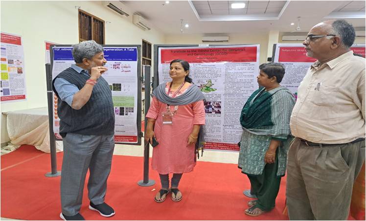 Seminar & Conferences 
