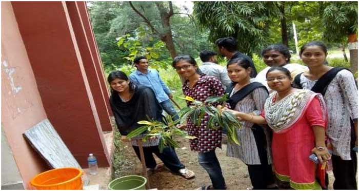 Plantation Programme- 2017